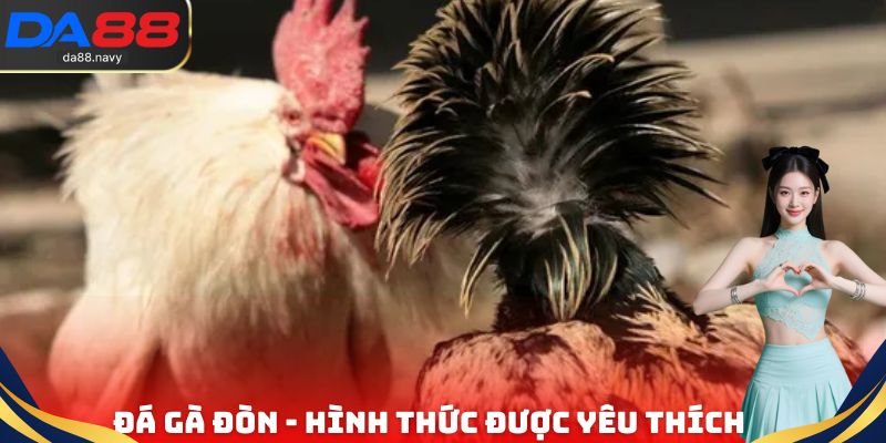 Đá Gà Đòn